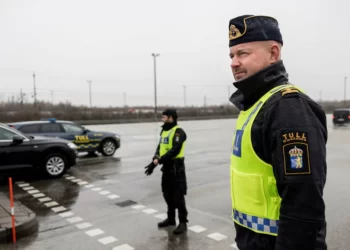 Dubbelt så många drograttfulla lastbilsförare stoppades av tullen förra året