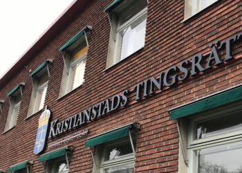 Mördade under psykos – döms till livstid