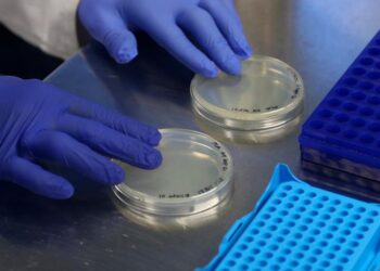 Ny coronavariant upptäckt – deltakron