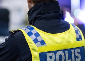 Ingen gripen för Norsborgmord￼￼