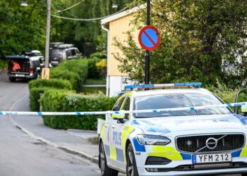 Barn och kvinna döda – man misstänkt för mord