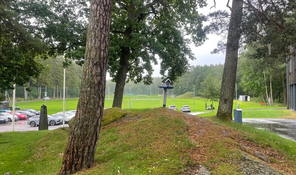 IFK Göteborgs träning avbröts efter blixtnedslag