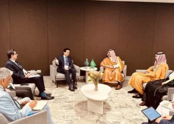 Energy minister discusses mining, AI cooperation with Swedish and French officials