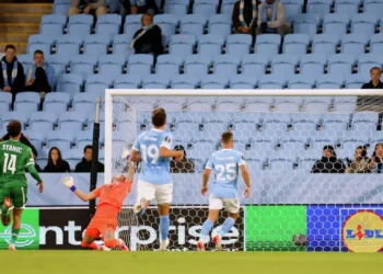 Olsen quits Sweden's national team after falling out with coach Tomasson