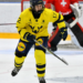 Sweden Names U-18 National Team For Upcoming World Championships